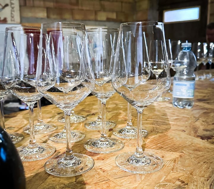 Mezzocorona: Teroldego Vineyard Tour and Wine Tasting - The Sum Up: A Genuine Taste of Trentinos Teroldego