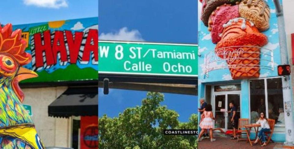 Miami: City Tour and Thriller Speedboat Adventure - Celebrity Homes and Islands