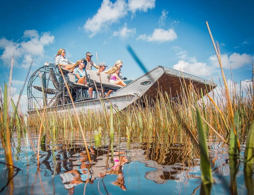 Miami: Everglades National Park Airboat Tour & Wildlife Show - Activity Highlights