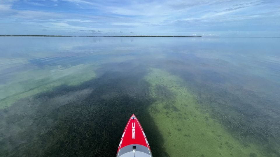 Miami: Everglades National Park Hiking and Kayaking Day Trip - Flexible Cancellation Policy