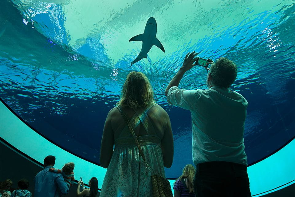 Miami: Frost Museum of Science and Planetarium Entry Ticket - Museum Exhibits and Attractions