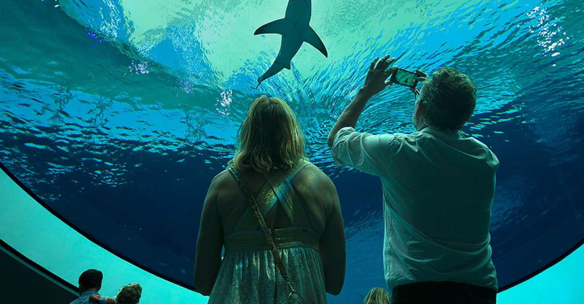 Miami: Frost Museum of Science and Planetarium Entry Ticket - Frequently Asked Questions