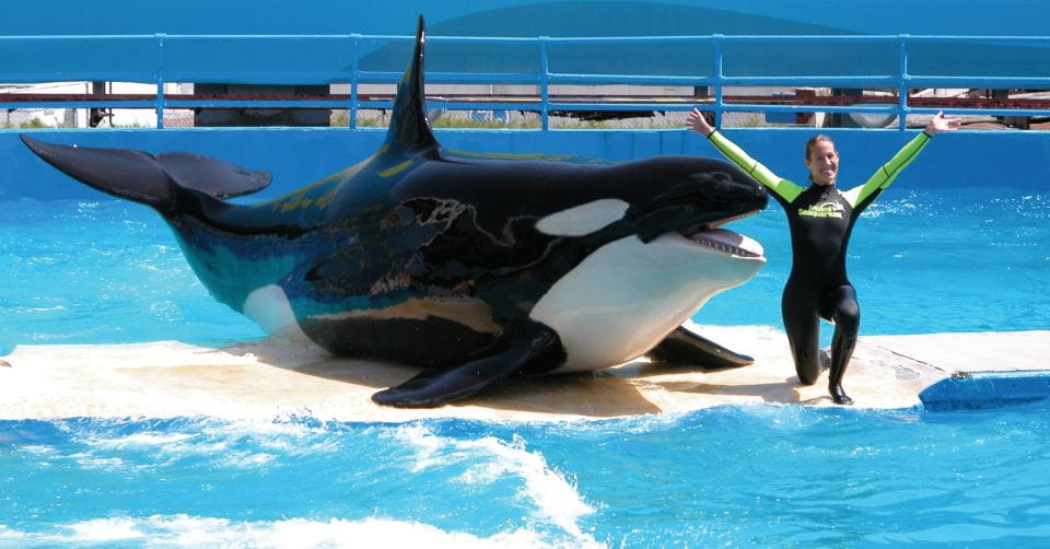 Miami: Go City All-Inclusive Pass With 30+ Attractions - Frequently Asked Questions