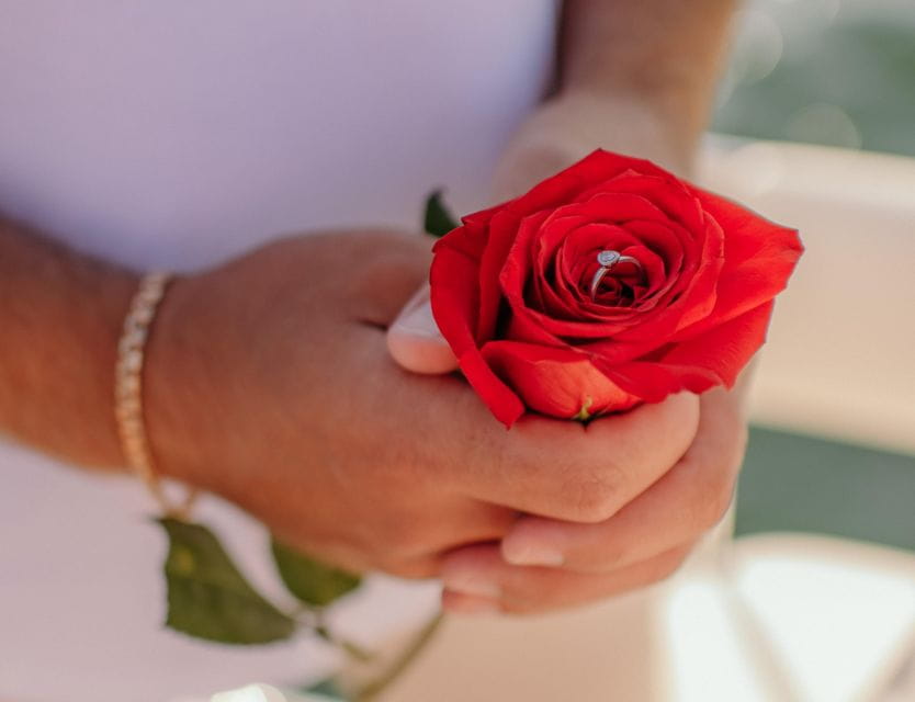 Miami: Luxury E-Boat Cruise With Wine and Charcuterie Board - Glimpses of Native Wildlife