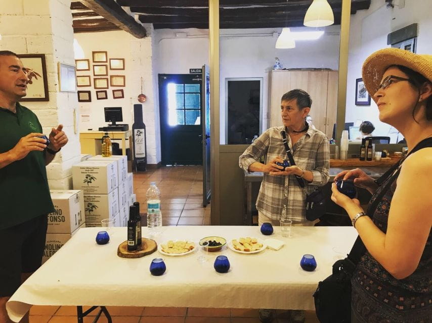 Midday Olive Oil Tour and Visit to Old Town of Belchite - Itinerary Details