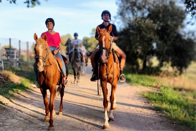 Middle day out of Rome on Horseback with meals included - Who Should Consider This Tour?