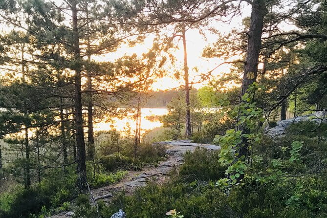 Midnight Sun and Campfire - National Park evening hike Stockholm - Who Will Love This Tour?
