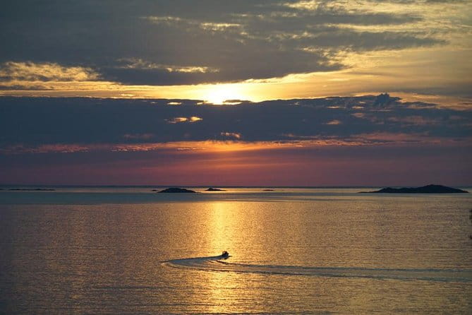 Midnightsun- Eco friendly Tesla Model X - Who Will Love This Tour?