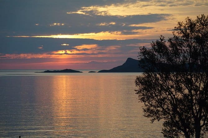 Midnightsun- Eco friendly Tesla Model X - Practical Details