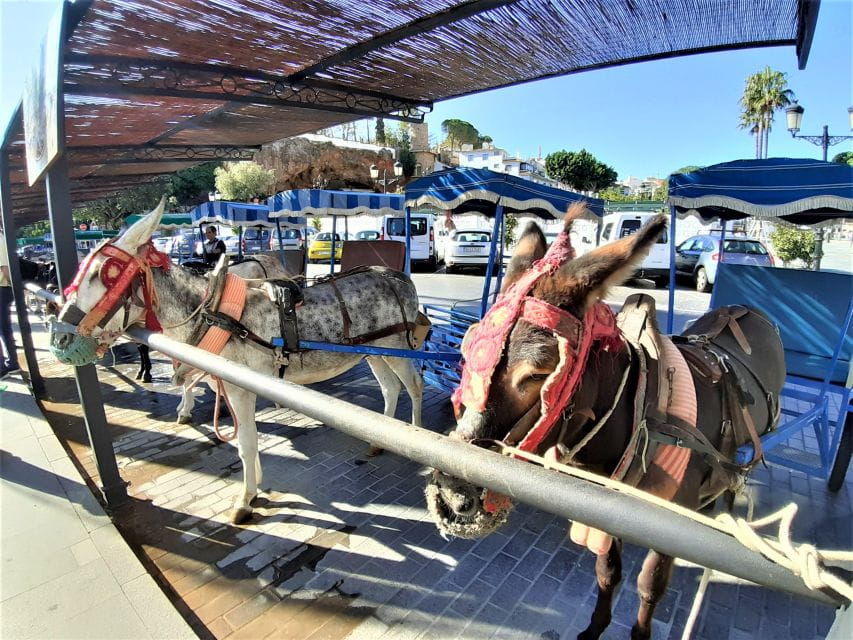 Mijas Pueblo: Private Trip From Costa Del Sol - Andalusian Architecture Charm