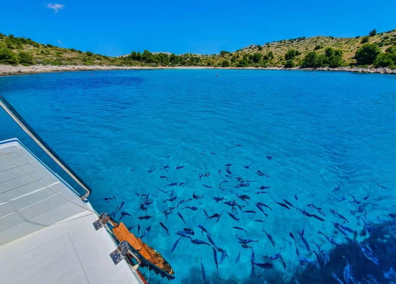 Mikado Kornati Excursion with snorkeling and hiking stops - Return Journey and Final Impressions