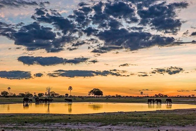 Mikumi National Park in a Day - a Day Tour From Morogoro - Traveler Details and Requirements