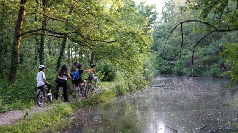Milan: Bike Tour with Picnic on the turtle lake - What to Expect from the Experience