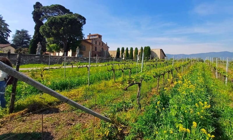 Milan: Brescia & Franciacorta with Wine Tasting Small Group - Who Is This Tour For?