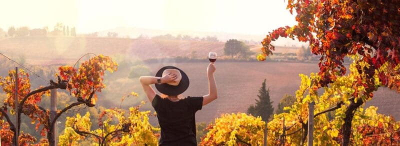 Milan Day Trips: Barolo Wine Tour with a Private Driver - Who Will Enjoy This Tour Most?