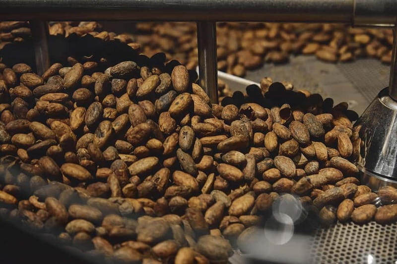 Milan: Enrico Rizzi Chocolate Factory Tour with tasting - Why You Should Consider This Experience