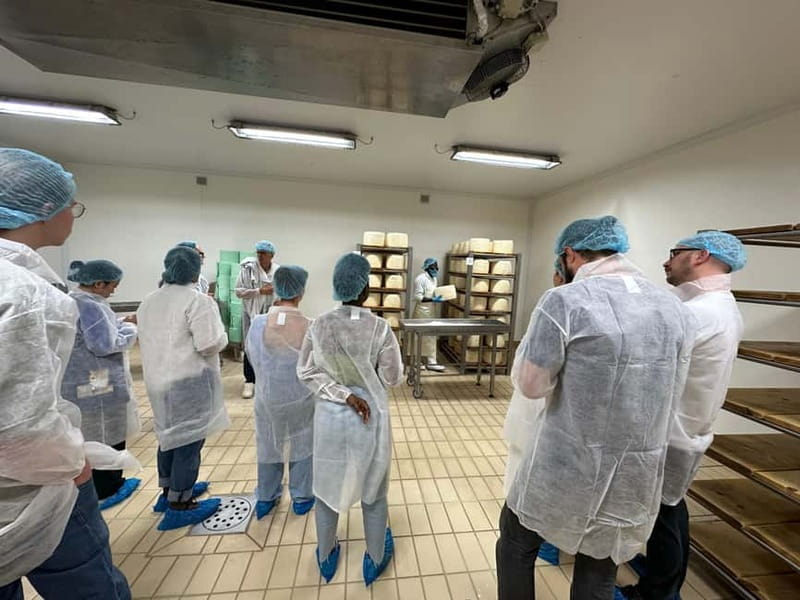 Milan: Home Gorgonzola Dinner, Overnight Stay & Dairy Visit - Key Points / Takeaways