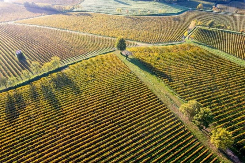 Milan: Lake Iseo & Franciacorta Wine Region with Cruise - Frequently Asked Questions