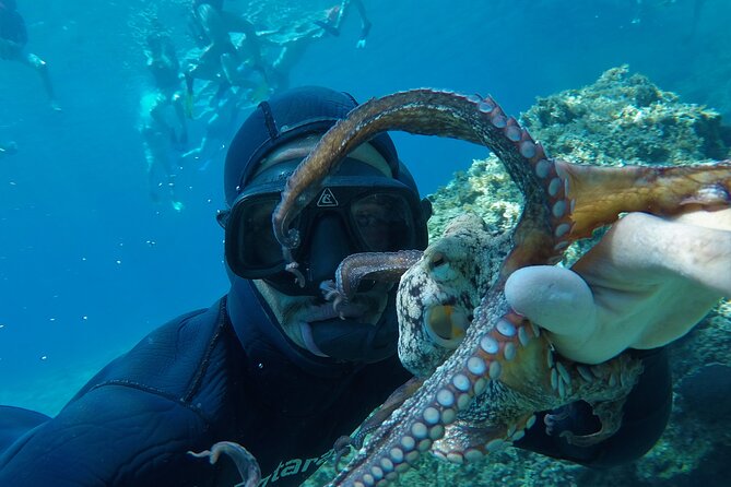 Milos: Half-Day Speedboat Cruise to Kleftiko With Snorkeling Tour - Exploring Sykia Cave