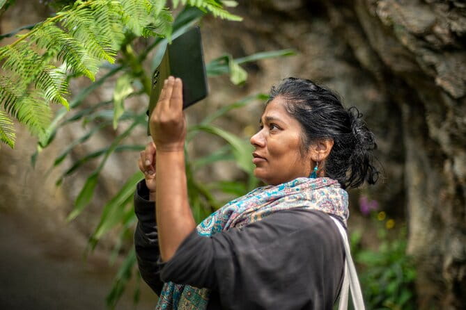Mindful Photo Walk at Princess Pavilion & Gyllyngdune Gardens - The Sum Up