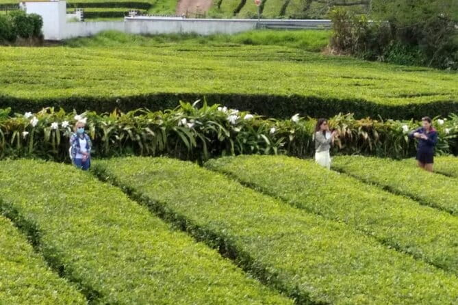 Minibus  Laketour  Furnas  Full Day (Shared) - Key Points