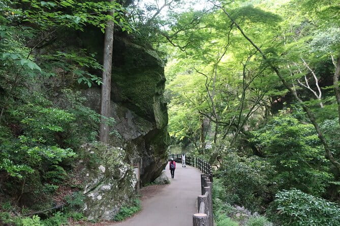 Minoh Waterfall and Nature Walk Through the Minoh Park - Preparing for the Physical Requirements