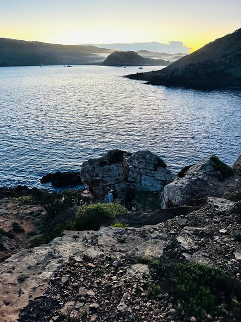 Minorca Awakens: Breakfast at Sunrise - Wildlife Encounters