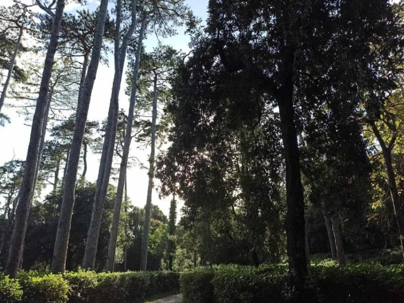 Miramare: The most romantic, beautiful and sad castle. - Price and value: Is it worth it?