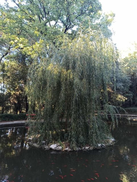 Miramare: The most romantic, beautiful and sad castle. - FAQ