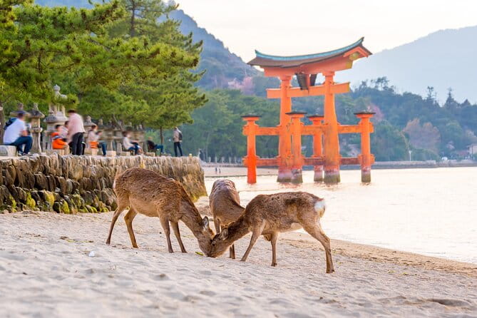 Miyajima Island Day Tour in Sacred Sites and Mount Misen - Exploring the Floating Torii Gate