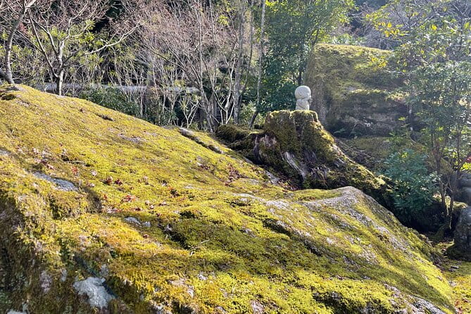 Miyajima Island Tour With Certified Local Guide - Highlights of the Tour