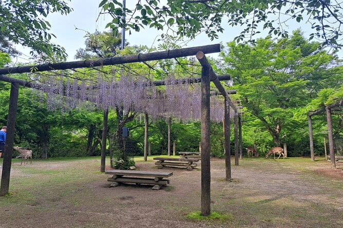 Miyajima UNESCO World Heritage Site Private Tour - Inclusions and Pricing Information