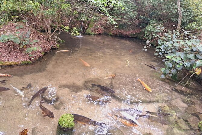 Miyajima UNESCO World Heritage Site Private Tour - Accessibility Features and Recommendations