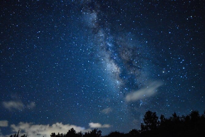 Miyako Island Jungle Night Tour and Starry Sky Viewing - Key Points