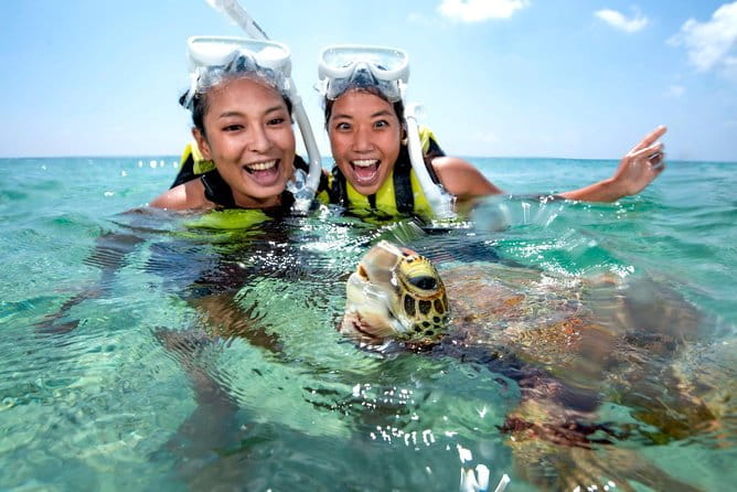 Miyakojima / Snorkel Tour to Swim With Sea Turtles - Reviews and Feedback