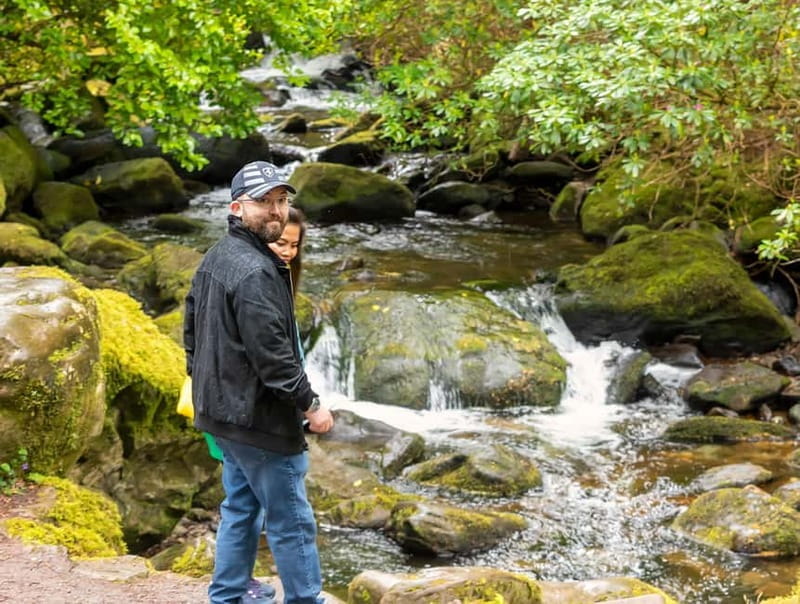 Mizen Head: Killarney National Park, Caha Pass Private Tour - Discovering Ireland’s Edge: A Deep Dive into the Mizen Head Private Tour