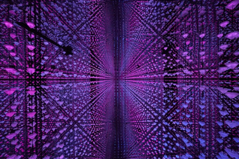 Moco Museum Barcelona Banksy & More - Exploring the Exhibitions & Installations