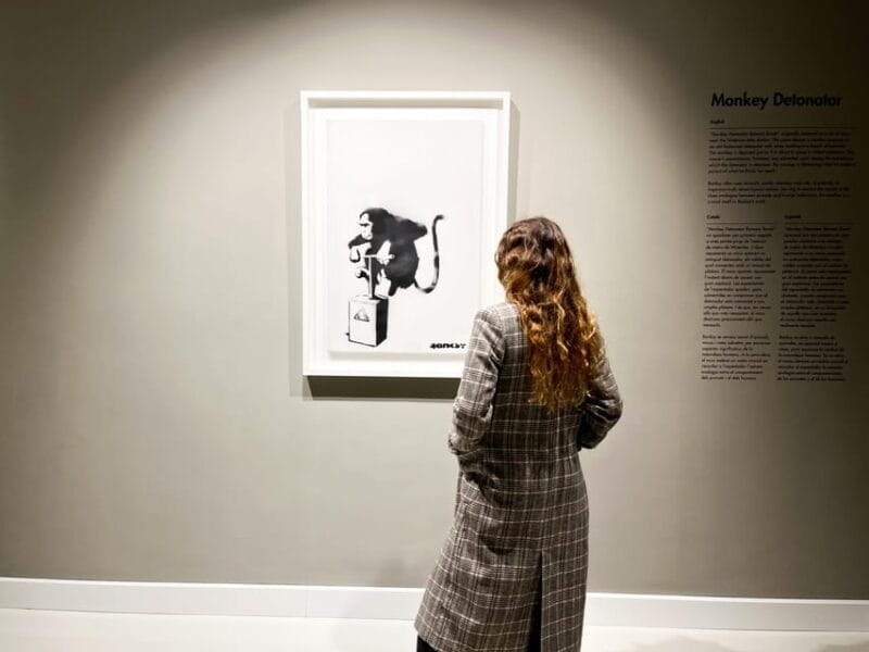 Moco Museum Barcelona Banksy & More - Who Should Visit?