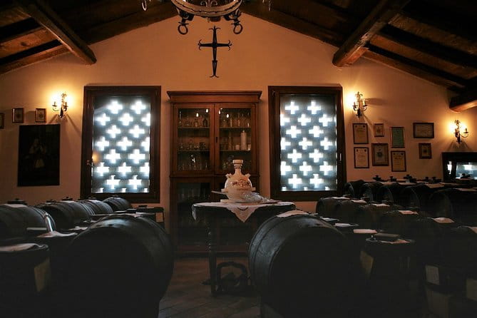 Modena area: Balsamic Vinegar Aceto Tasting Experience - Key Points / Takeaways