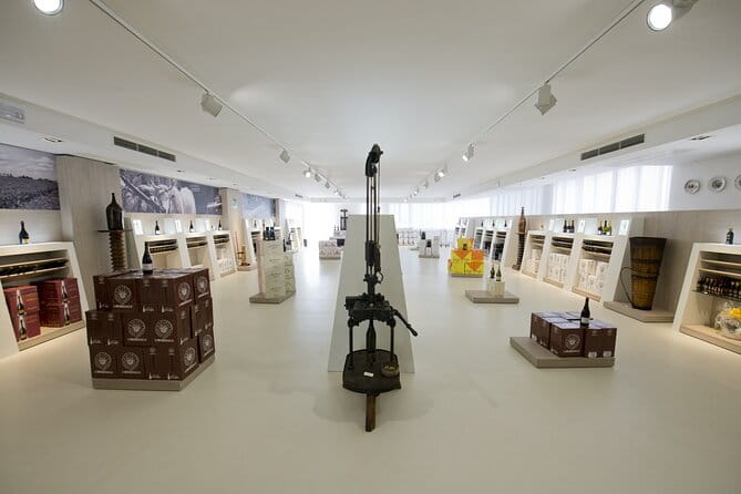 Modena area: Lambrusco Wine Tasting Experience - Who Will Love This Experience?