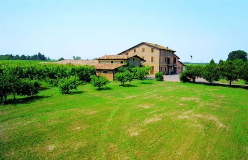 Modena: Balsamic Vinegar Tasting Experience - Key points / Takeaways