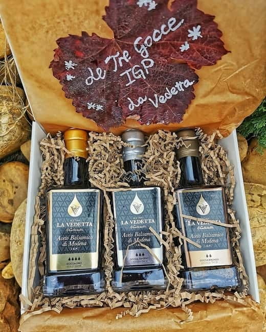 Modena: Guided Balsamic Vinegar Cellar Tour & Optional Meal - Exploring the Vineyard and Scenic Landscape