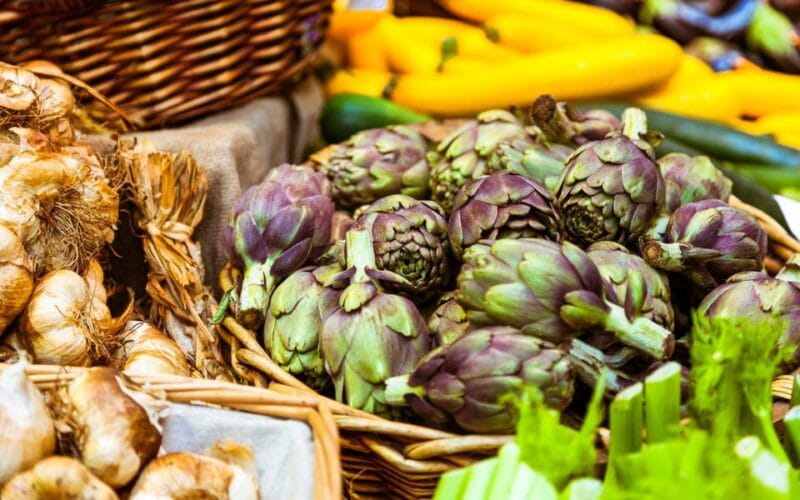 Modena: Walking Food Tour and Highlights with a Local Guide - Who Will Love This Tour?