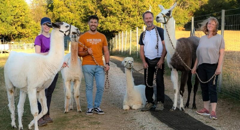 Mödling/Vienna: Scenic Guided Hike with Alpacas and Llamas - The Sum Up
