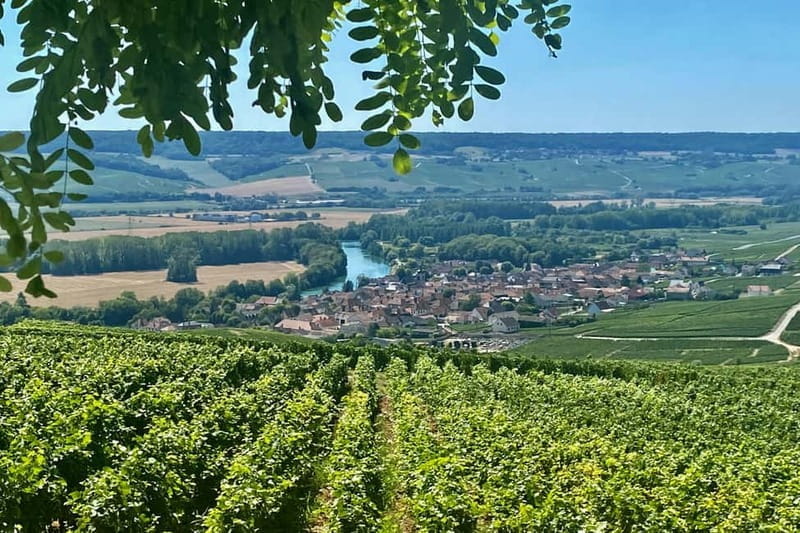 Moet et Chandon Veuve Clicquot Pommery Private Champagn Trip - FAQs