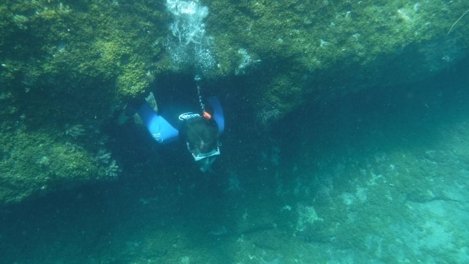 Mogán Beach: Guided Kayak to Caves and Snorkeling Tour - Things To Know