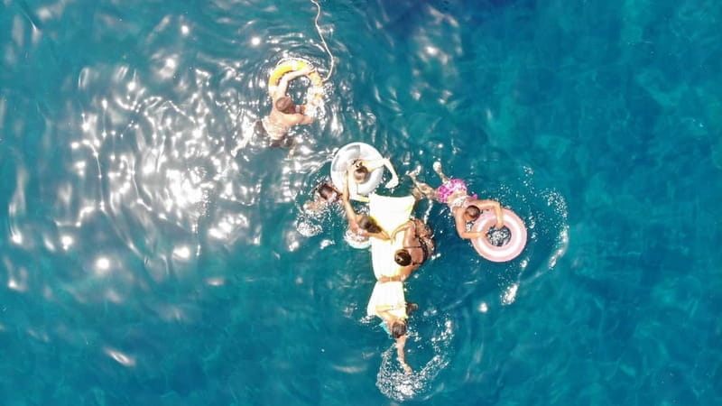 Mogan: Dolphin Watching Boat Trip with Swim Stop - Key Points/Takeaways