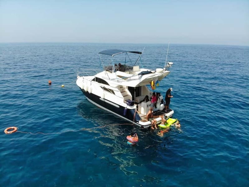 Mogan: Dolphin Watching Boat Trip with Swim Stop - Food and Drinks: An Unexpected Bonus
