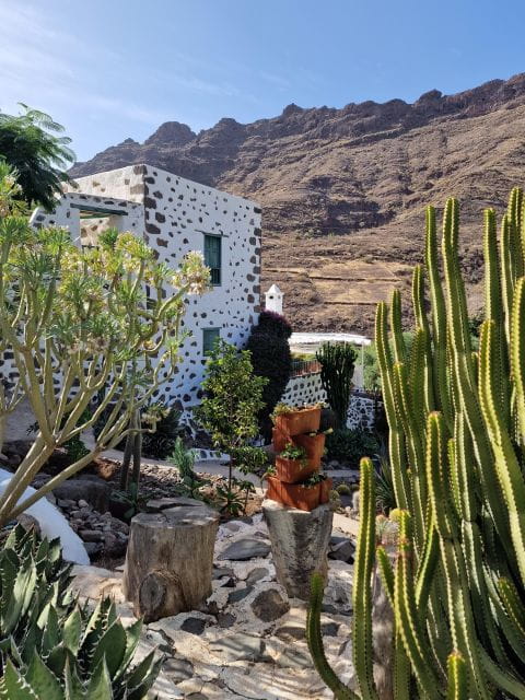 Mogan: Historical House, Mango Plantation & Vermouth Factory - Guided Tour Highlights