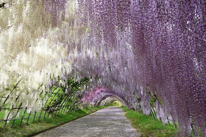 Mojiko Retro, Kawachi Wisteria and Shiranoe Gardens Tour YokaBus - Transportation Details